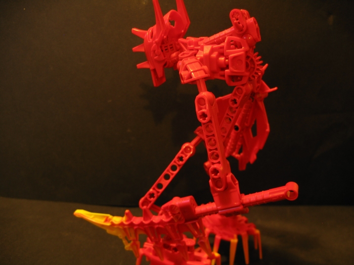 plode_008.jpg