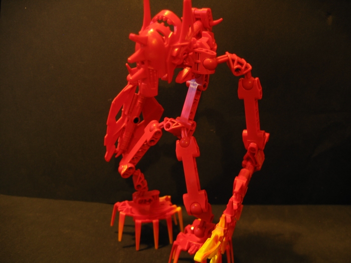 plode_009.jpg