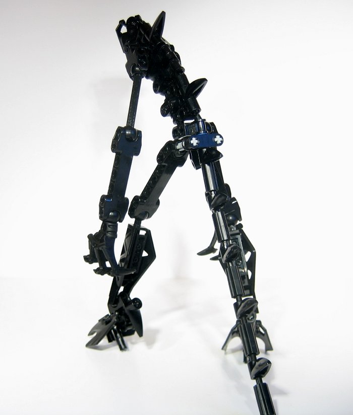 raptorthing_003.jpg