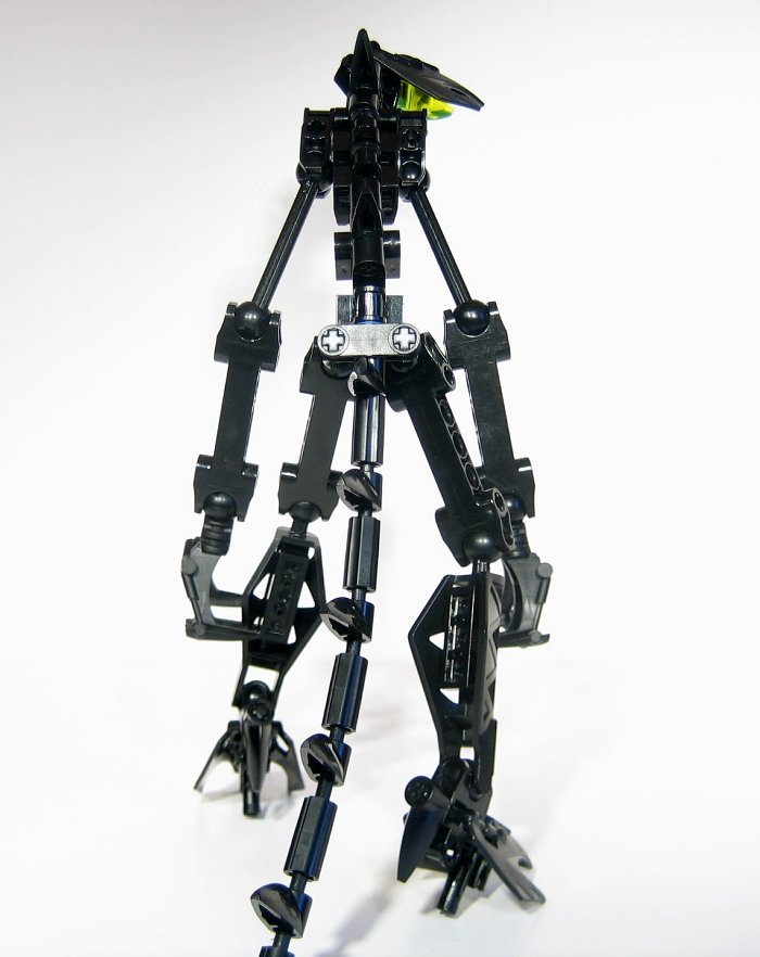 raptorthing_004.jpg