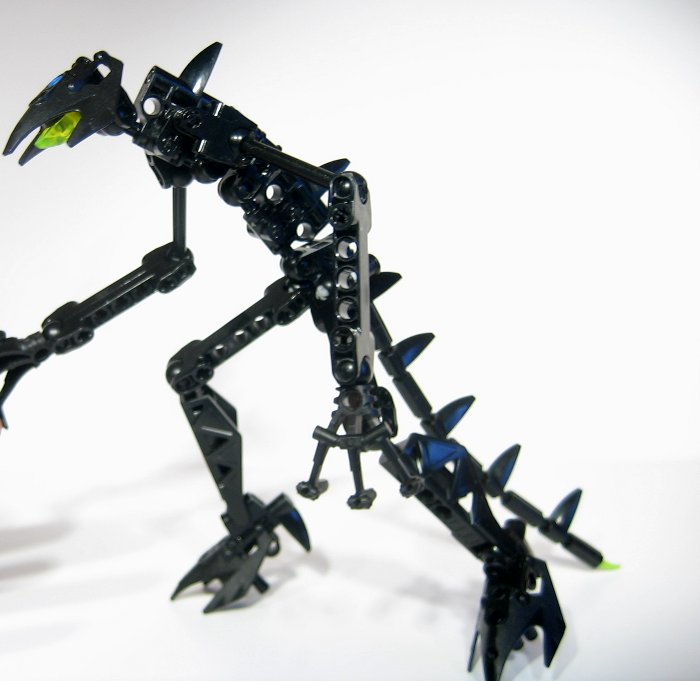 raptorthing_005.jpg