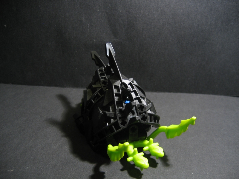 seasnail_005.jpg