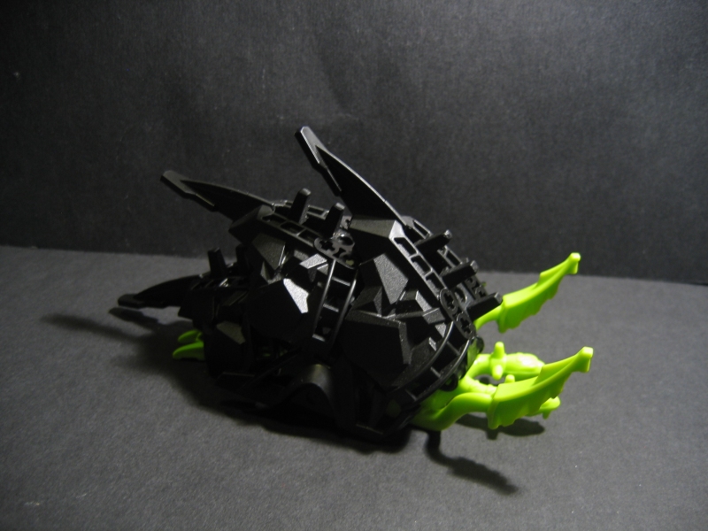 seasnail_007.jpg
