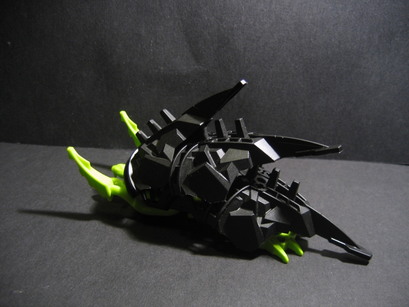 seasnail_011.jpg