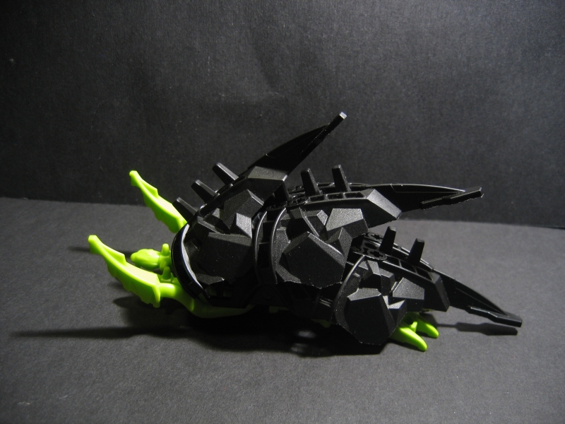 seasnail_012.jpg