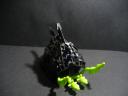 seasnail_005.jpg