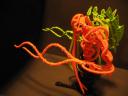 tentacle_monster_014.jpg