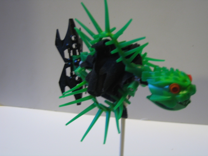 bob_the_blowfish_004.jpg