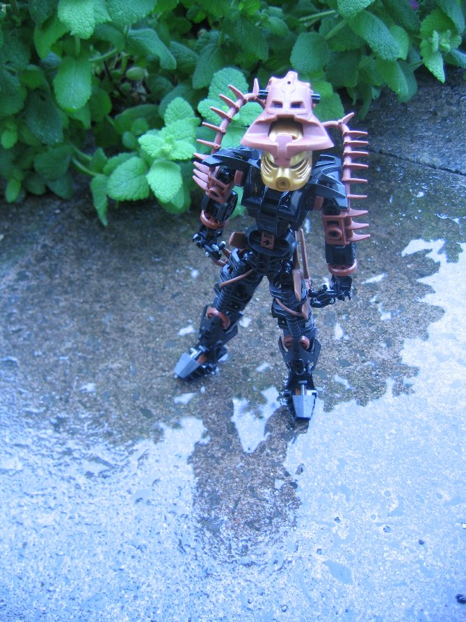 brickeens_od_001.jpg