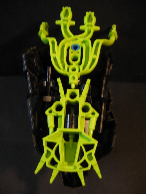 seasnaildetail_002.jpg