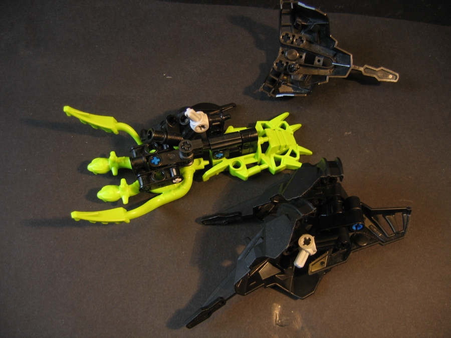 seasnaildetail_005.jpg