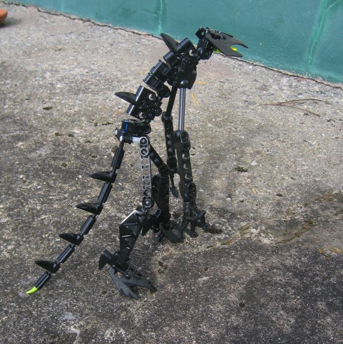 skinnything_003.jpg