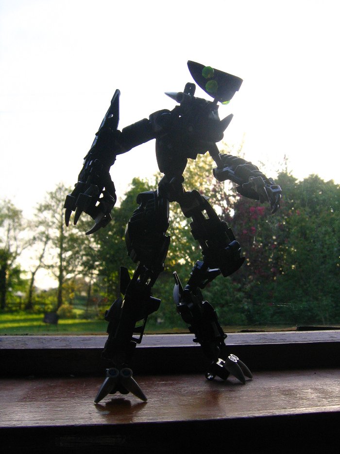 spacepiratetro_003.jpg