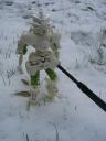 toaofdancingsnow_003.jpg