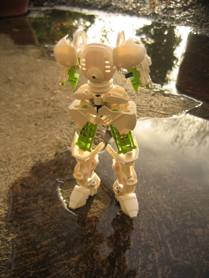 toaofdancing_006.jpg