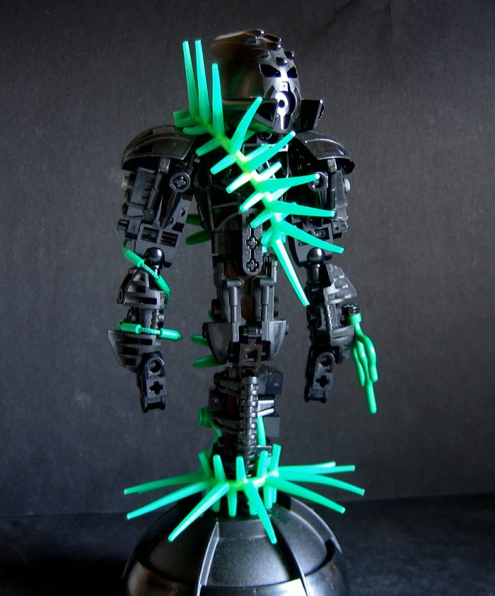 plantbeing_008.jpg