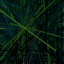 furryav.png