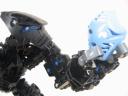 earthape_006.jpg