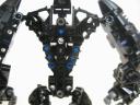 earthape_007.jpg