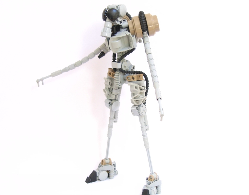 gaineamh_005.jpg