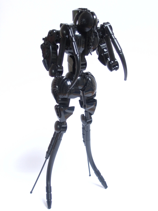 reto_024.jpg