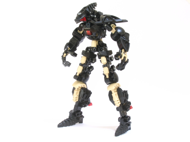 terra_003.jpg