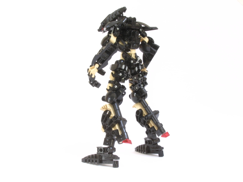 terra_007.jpg