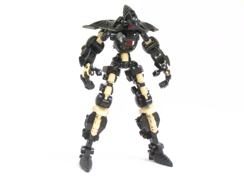 terra_010.jpg