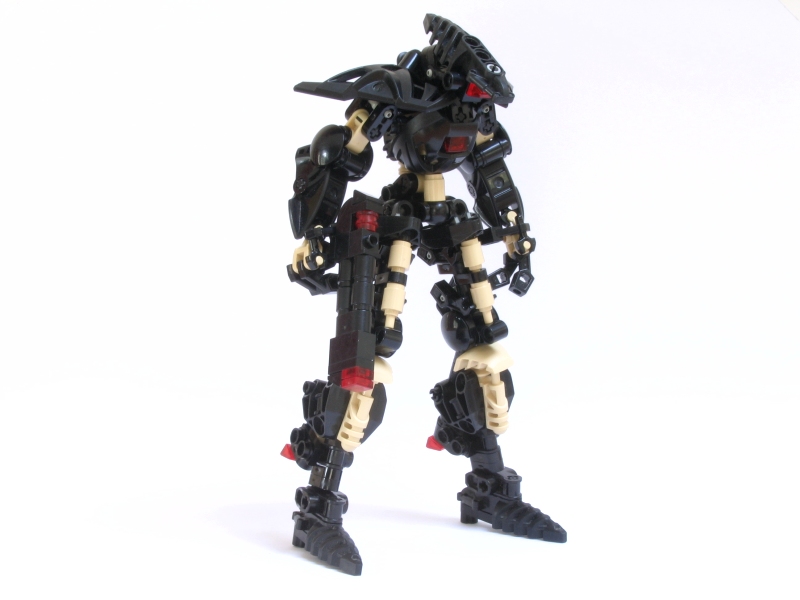 terra_015.jpg