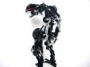 vampirebohrok_014.jpg