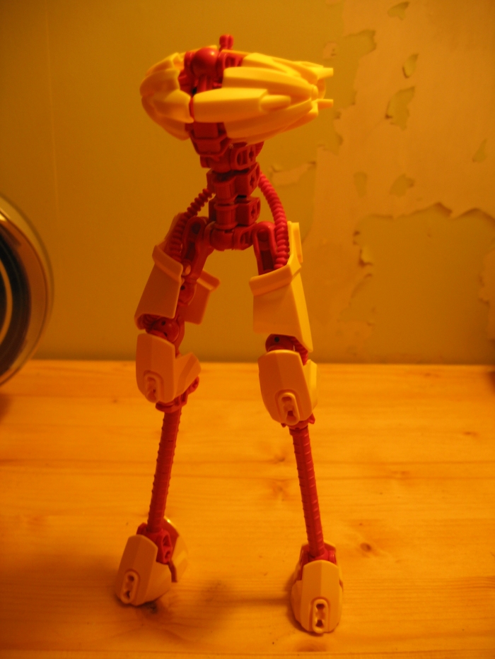 brightcolorthrowaway_012.jpg