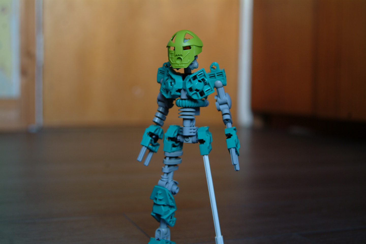 dscf0317.jpg
