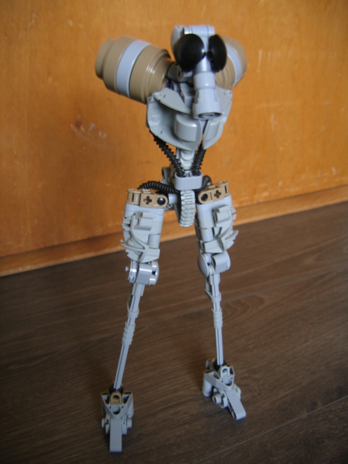 gaineamh_021.jpg