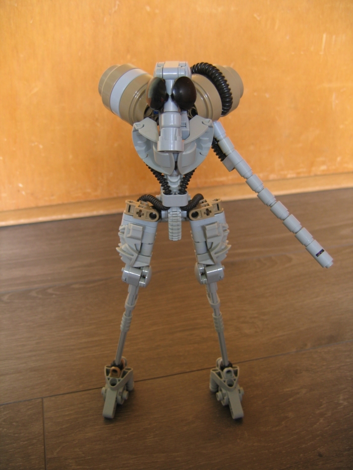 gaineamh_024.jpg