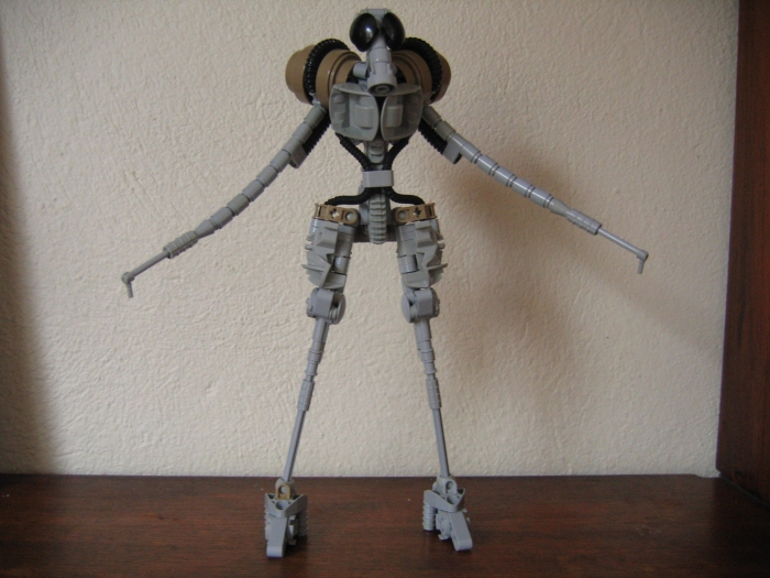 gaineamh_028.jpg