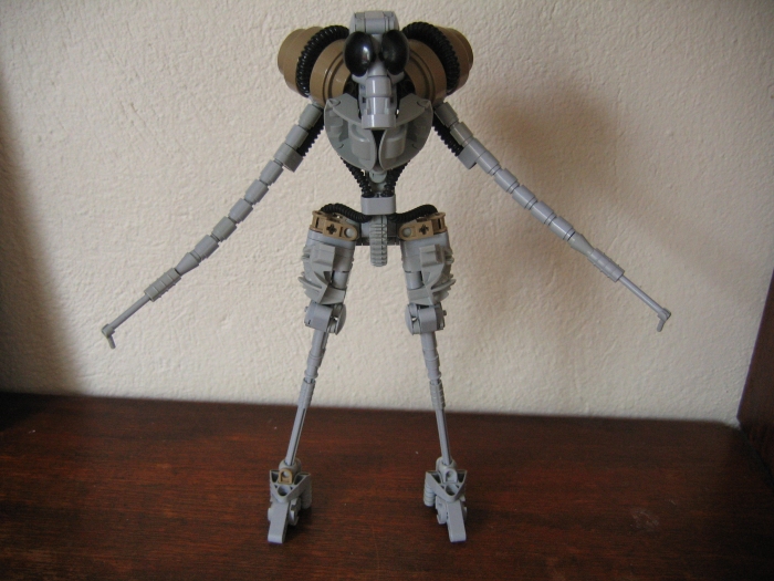 gaineamh_031.jpg