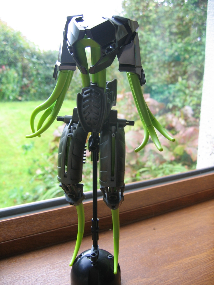 ms_tentacles_002.jpg