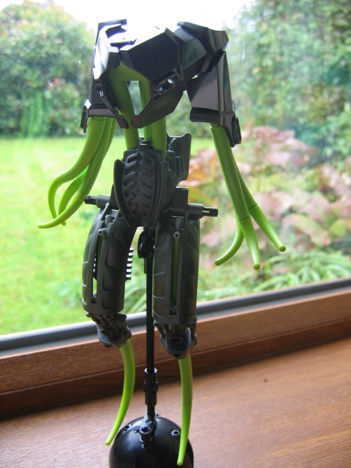 ms_tentacles_004.jpg