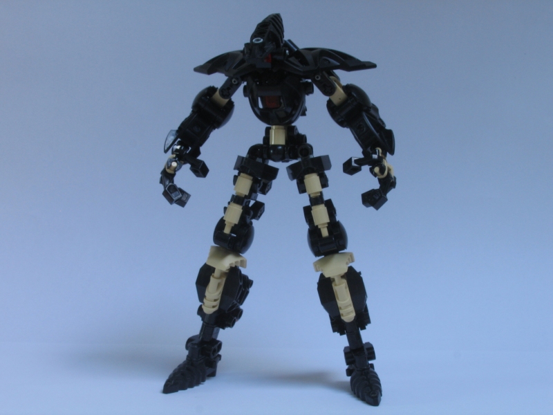 terra_002.jpg