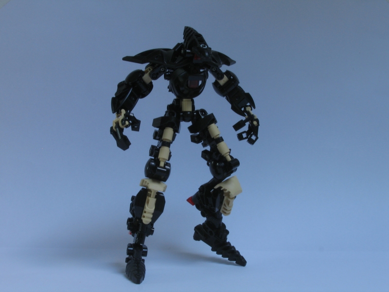 terra_016.jpg