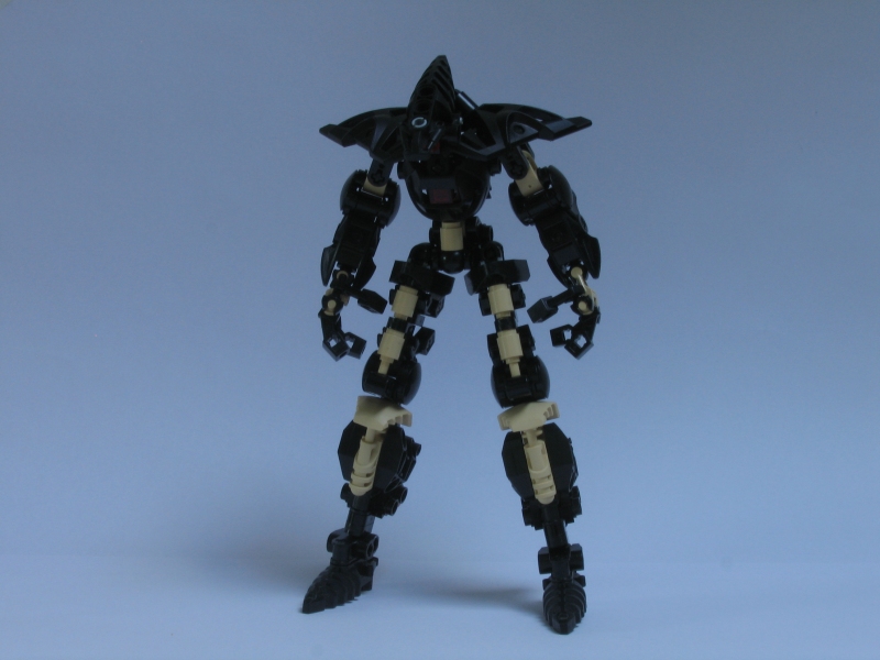 terra_019.jpg