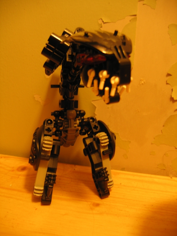 vbwip_005.jpg
