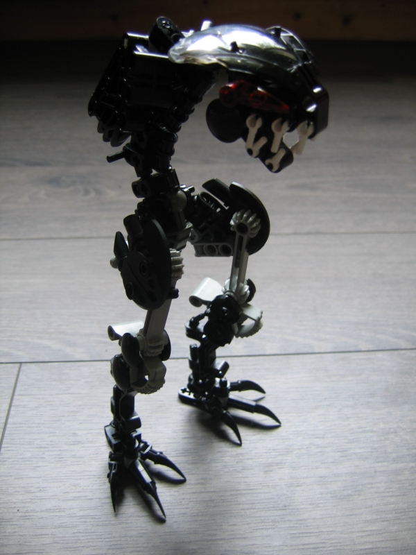 vbwip_013.jpg