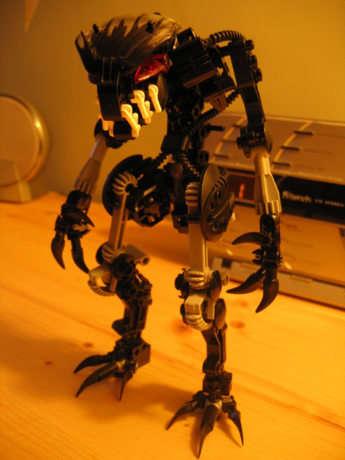 vbwip_028.jpg