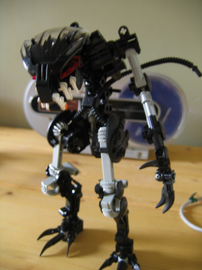 vbwip_039.jpg