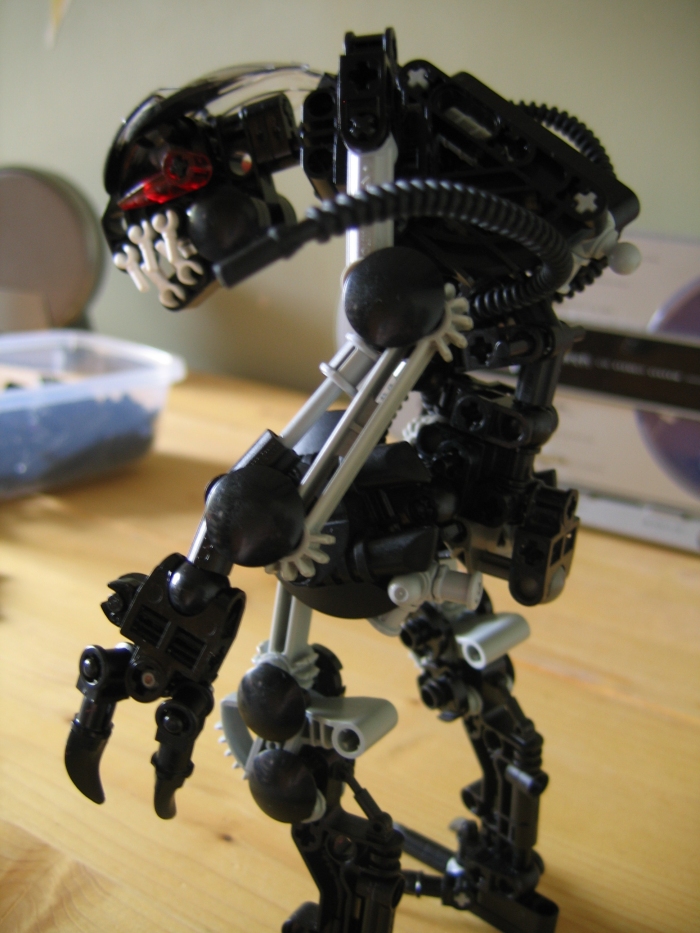 vbwip_041.jpg
