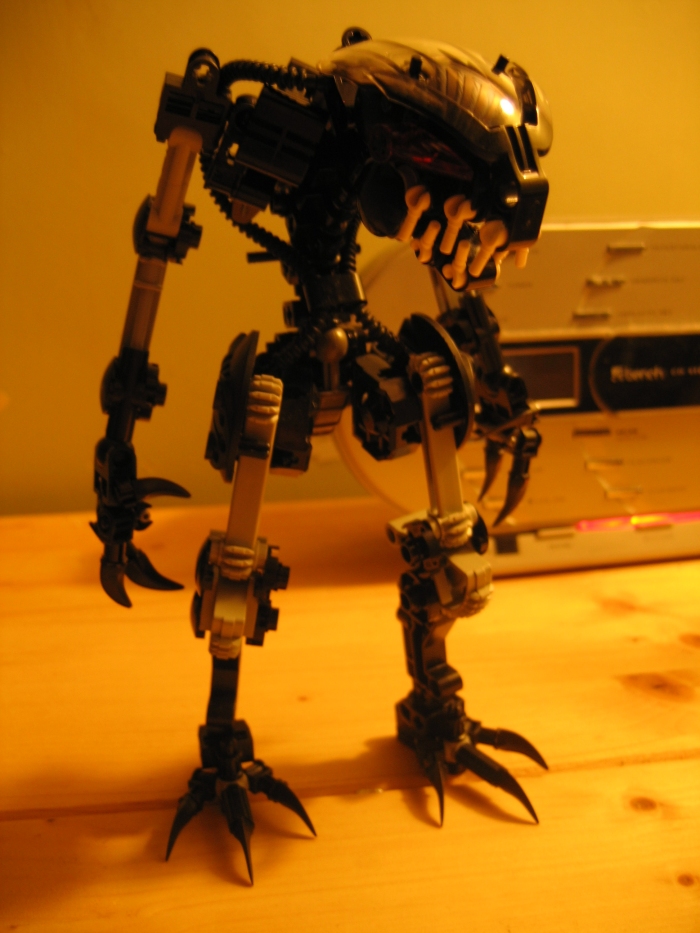 vbwip_043.jpg