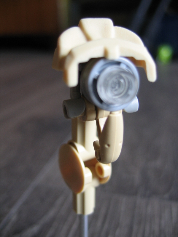 wipswipswipswips_013.jpg
