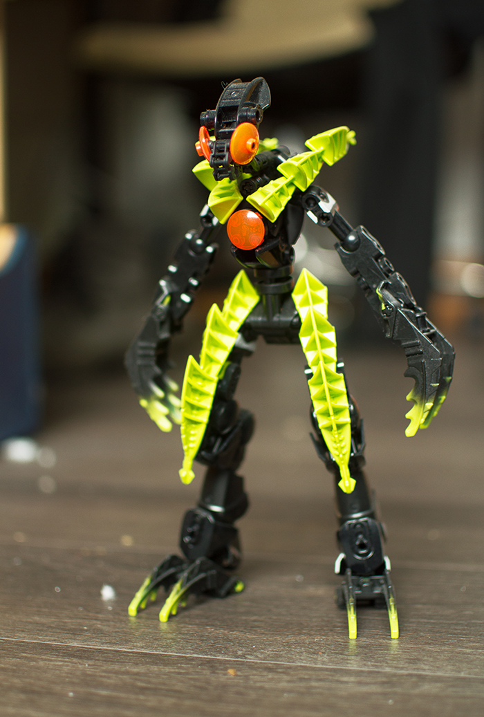 z_01.jpg