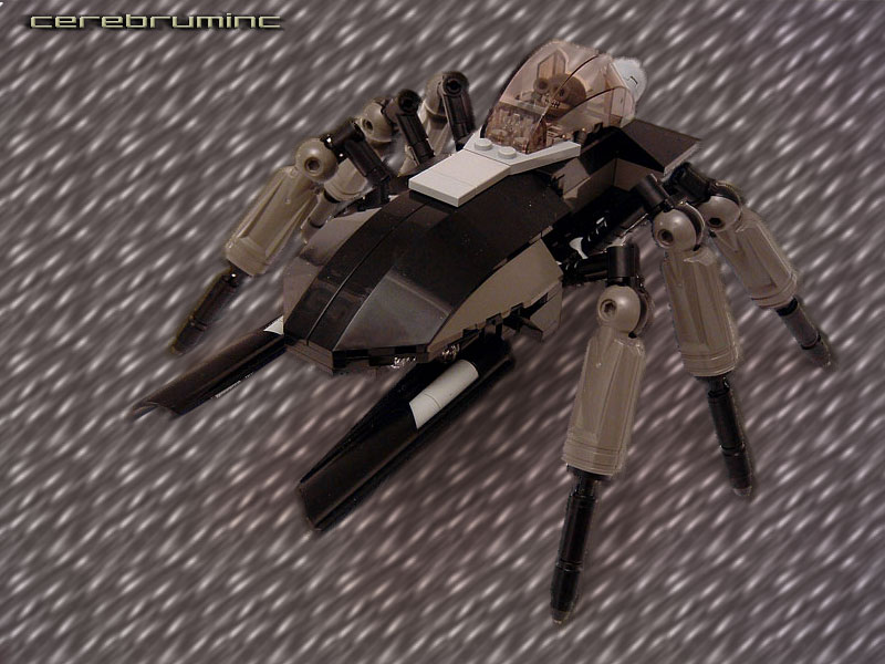 beetle01.jpg